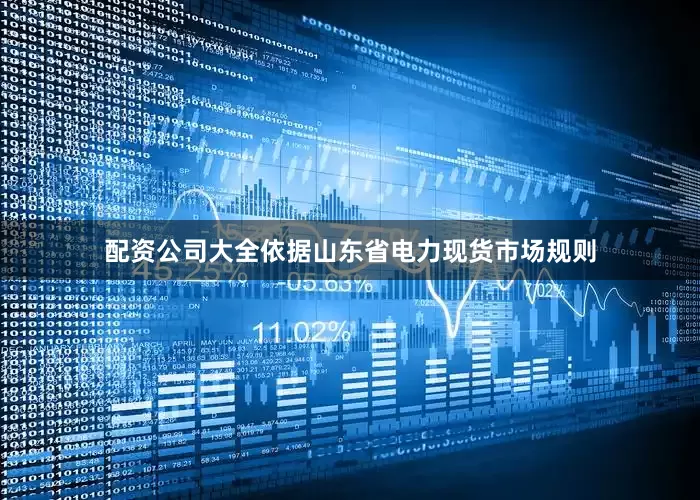 配资公司大全依据山东省电力现货市场规则